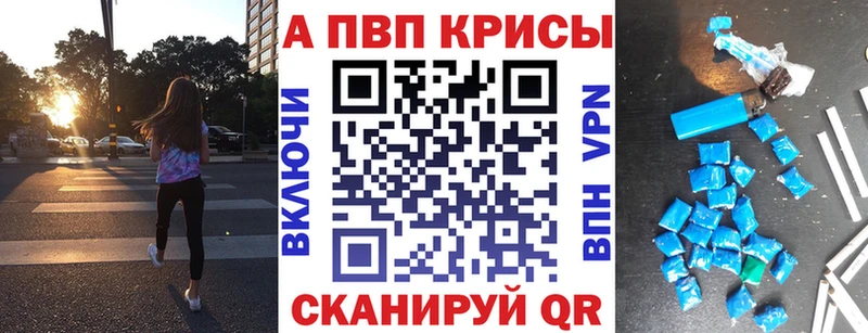 Альфа ПВП СК  Пошехонье 