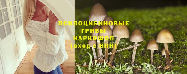 МДПВ Алексеевка