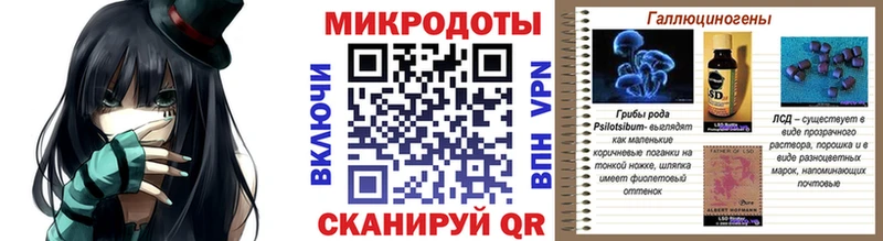 купить наркотик  Пошехонье  Галлюциногенные грибы GOLDEN TEACHER 